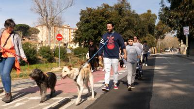 Passejada de gossos, diumenge 17 de mar