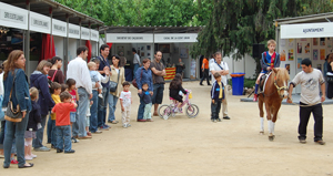 5a Mostra d'Entitats - Foto 64540204