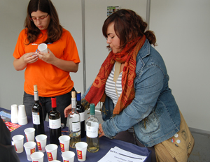 5a Mostra d'Entitats - Foto 50962669