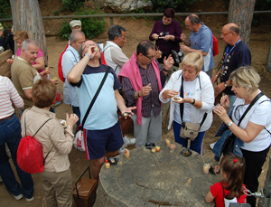 5a Mostra d'Entitats - Foto 61281691