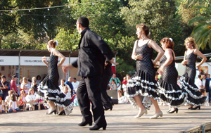 5a Mostra d'Entitats - Foto 23931132