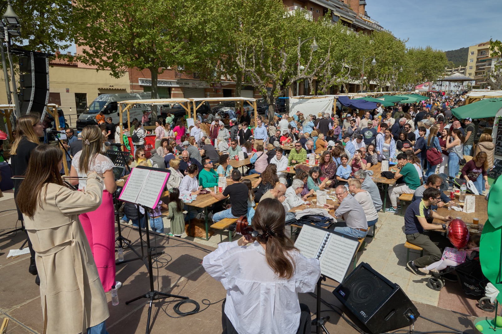 23a Festa del Psol Garrofal de Llavaneres