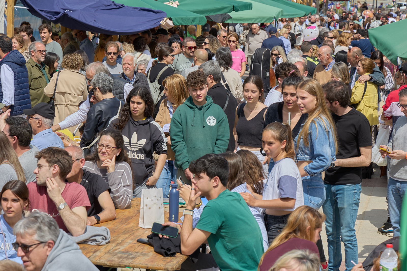 23a Festa del Psol Garrofal de Llavaneres