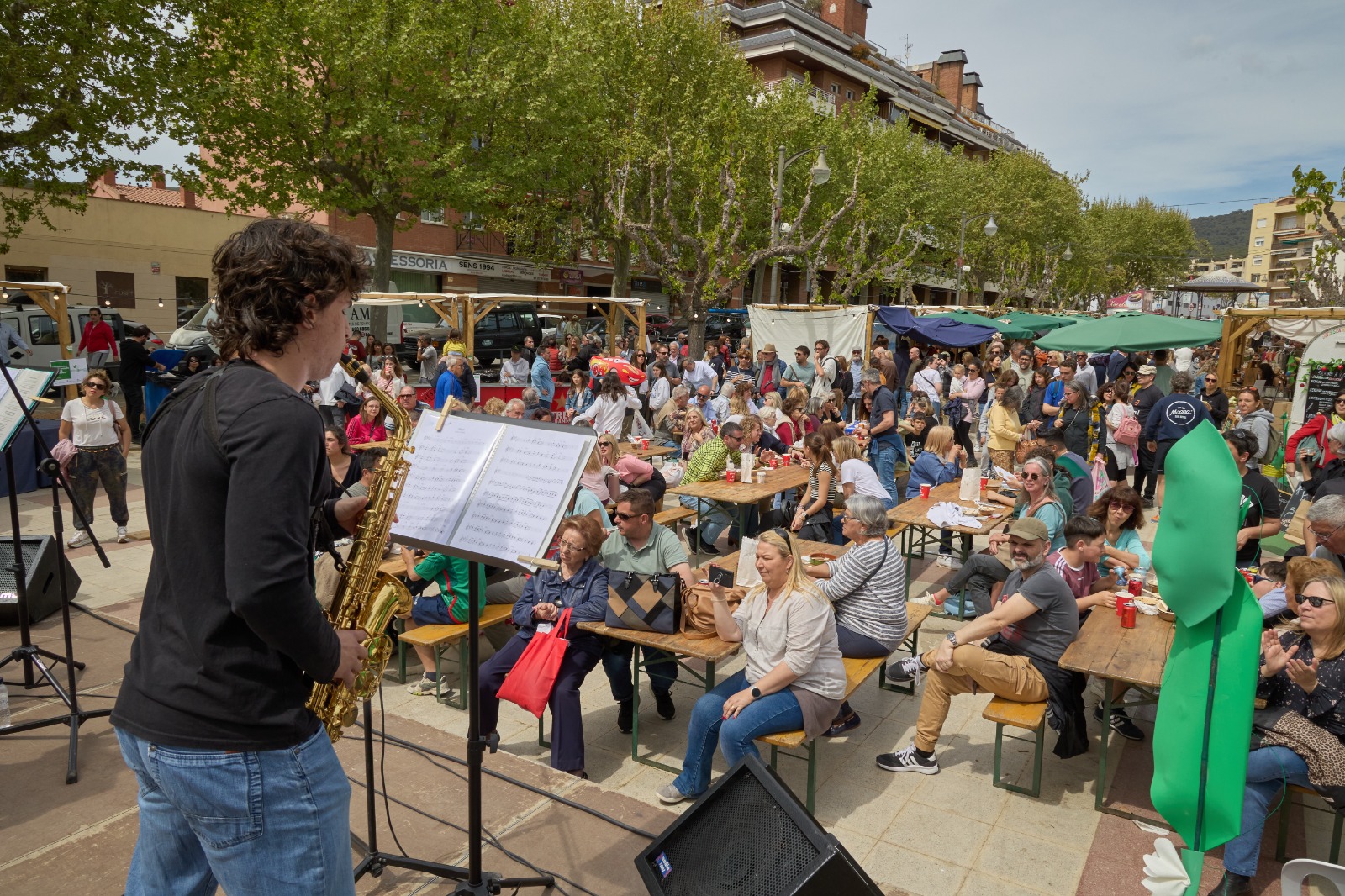 23a Festa del Psol Garrofal de Llavaneres