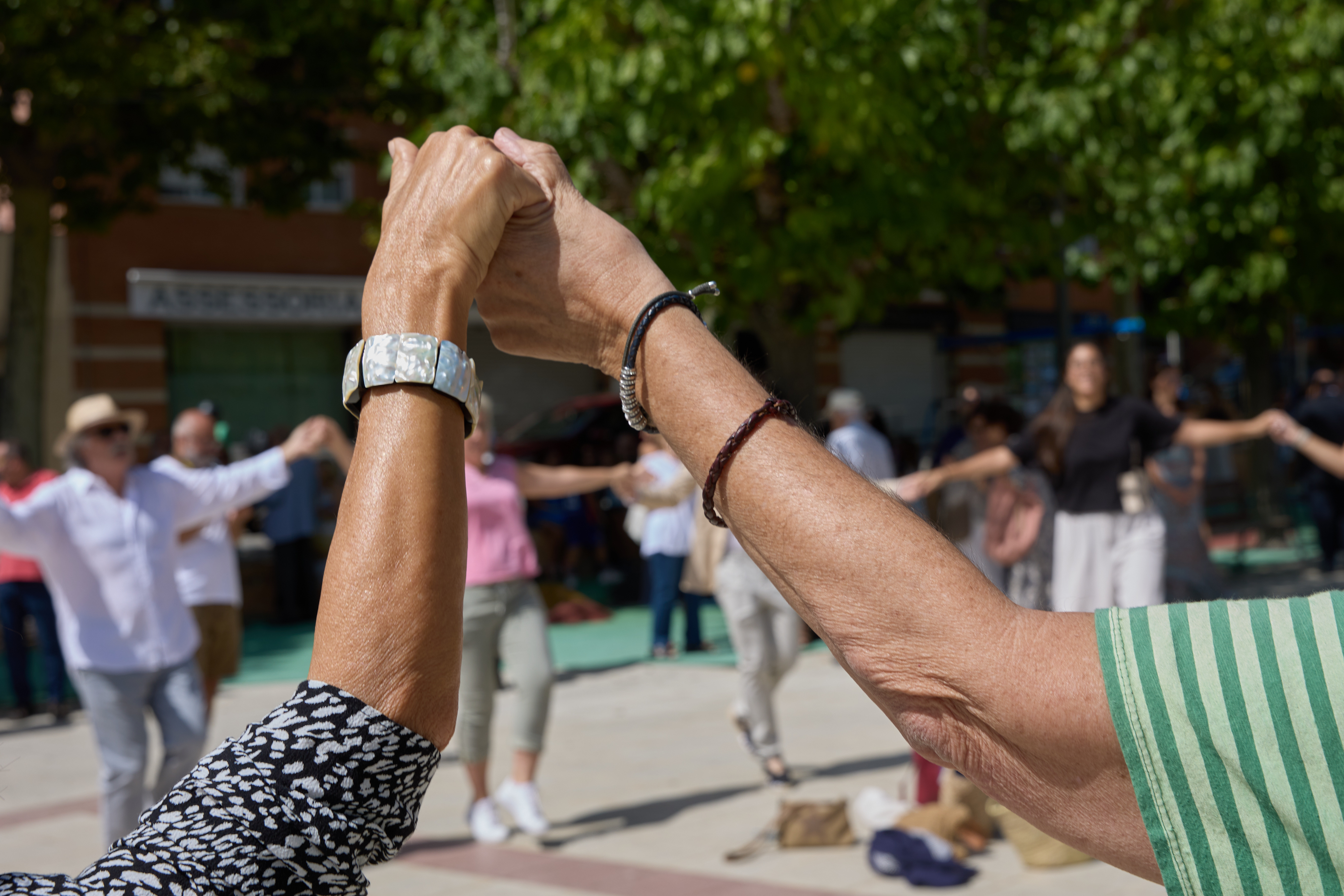 Diada Nacional de Catalunya a Llavaneres: sardanes i ofrena floral