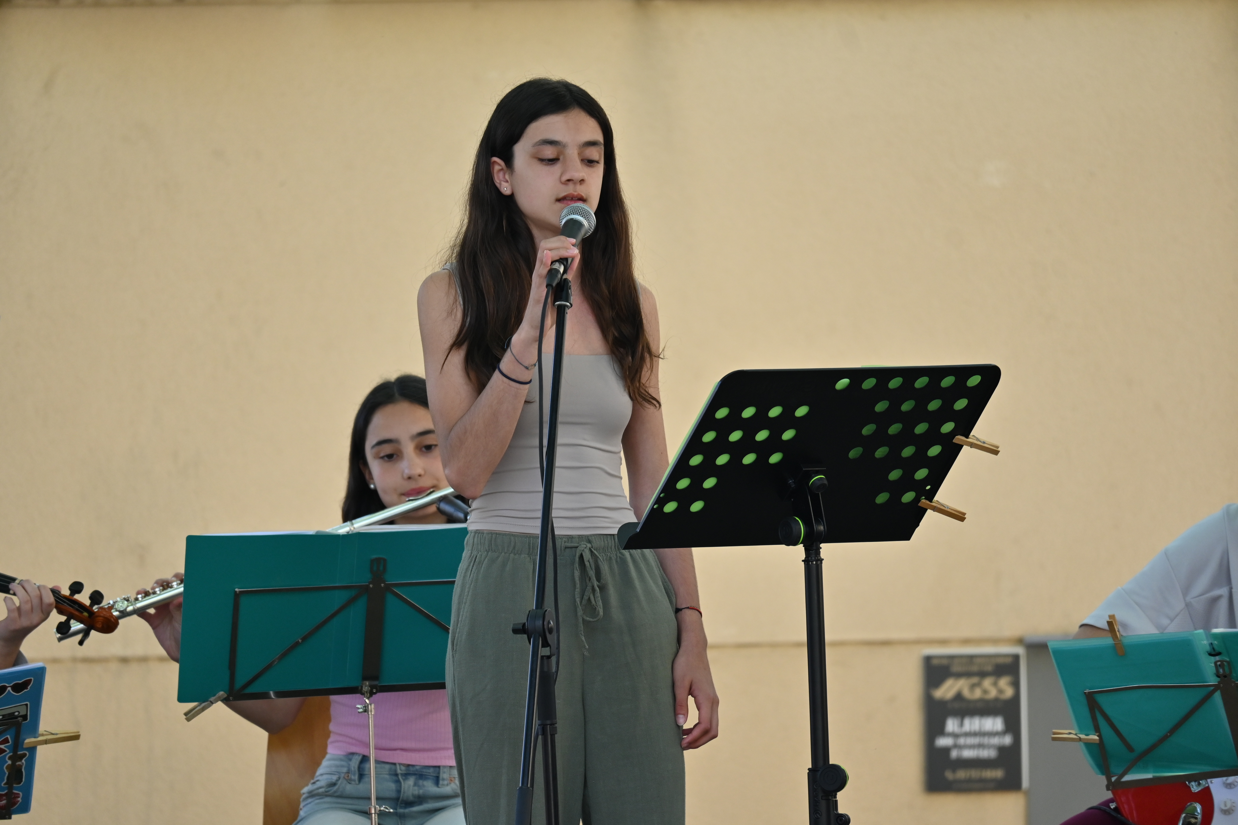 Sant Jordi 2025