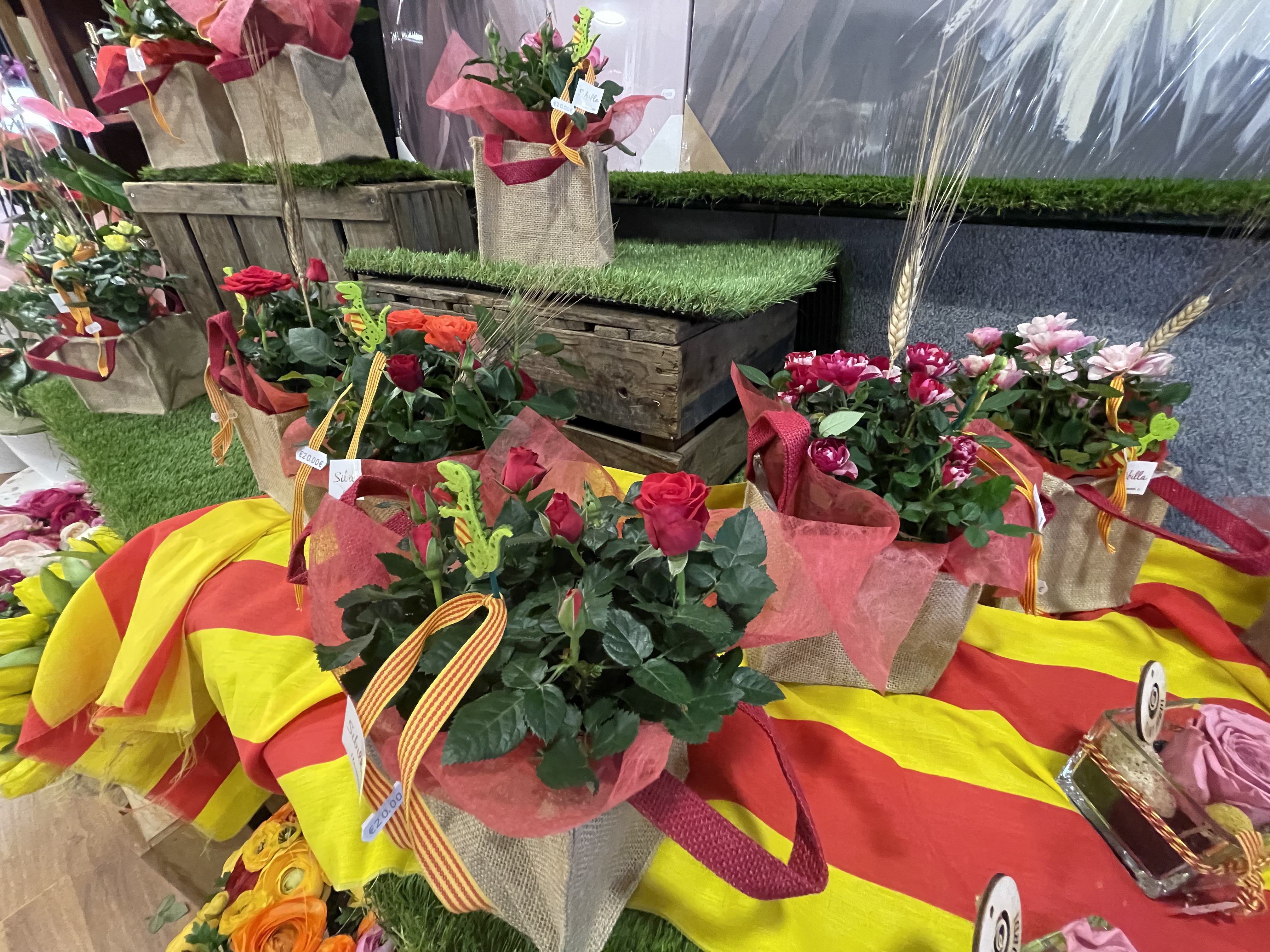 Sant Jordi 2025
