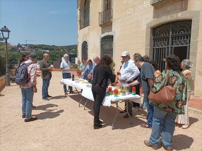 Diumenge, Dia Internacional dels Museus