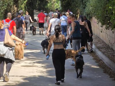 2a passejada canina