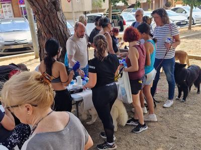 2a passejada canina