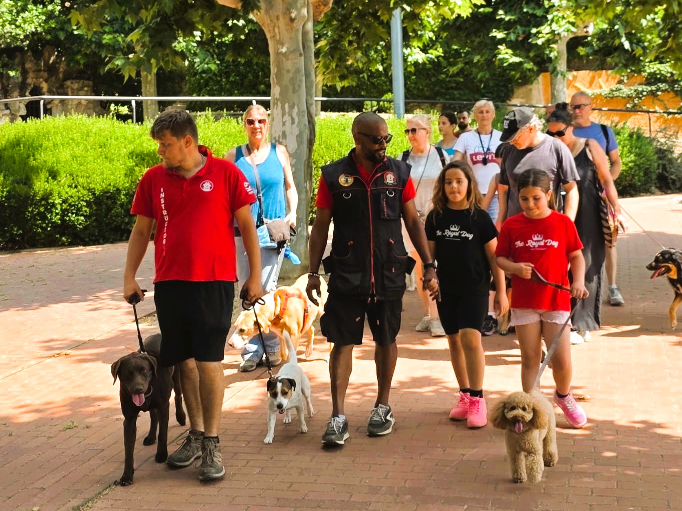2a passejada canina