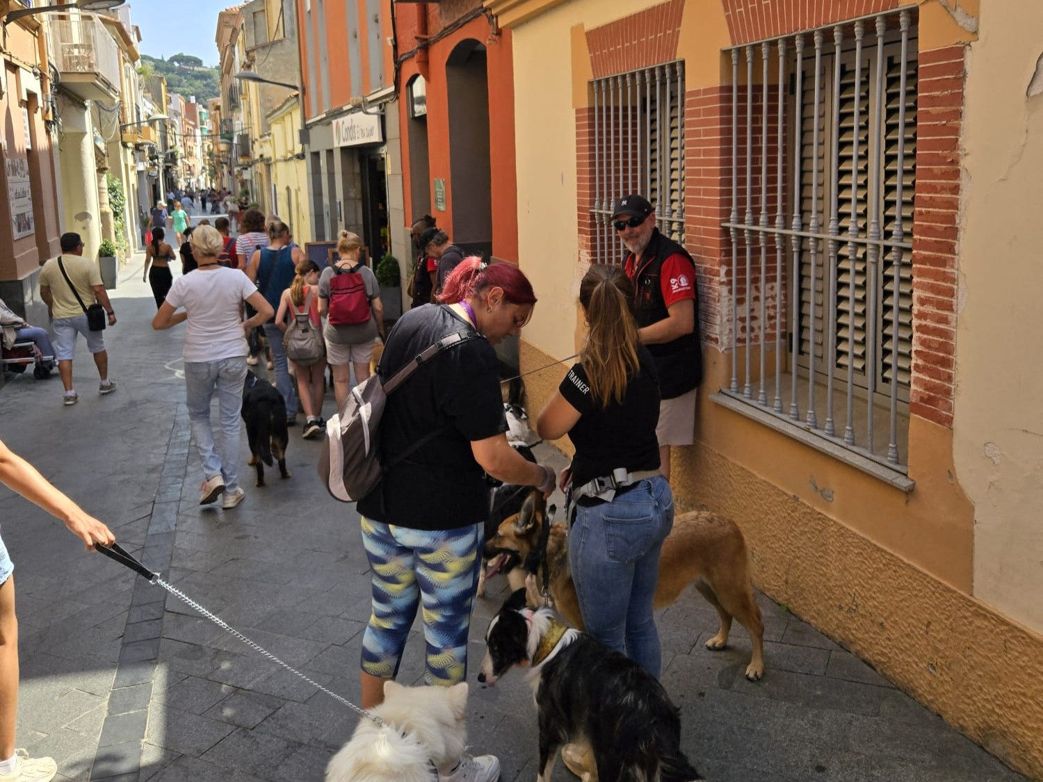 2a passejada canina