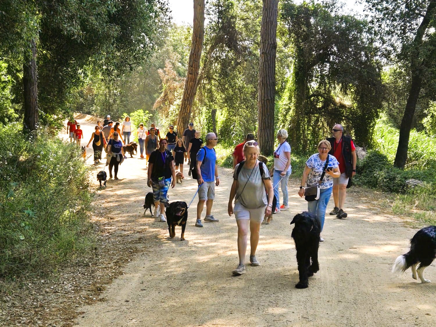 2a passejada canina