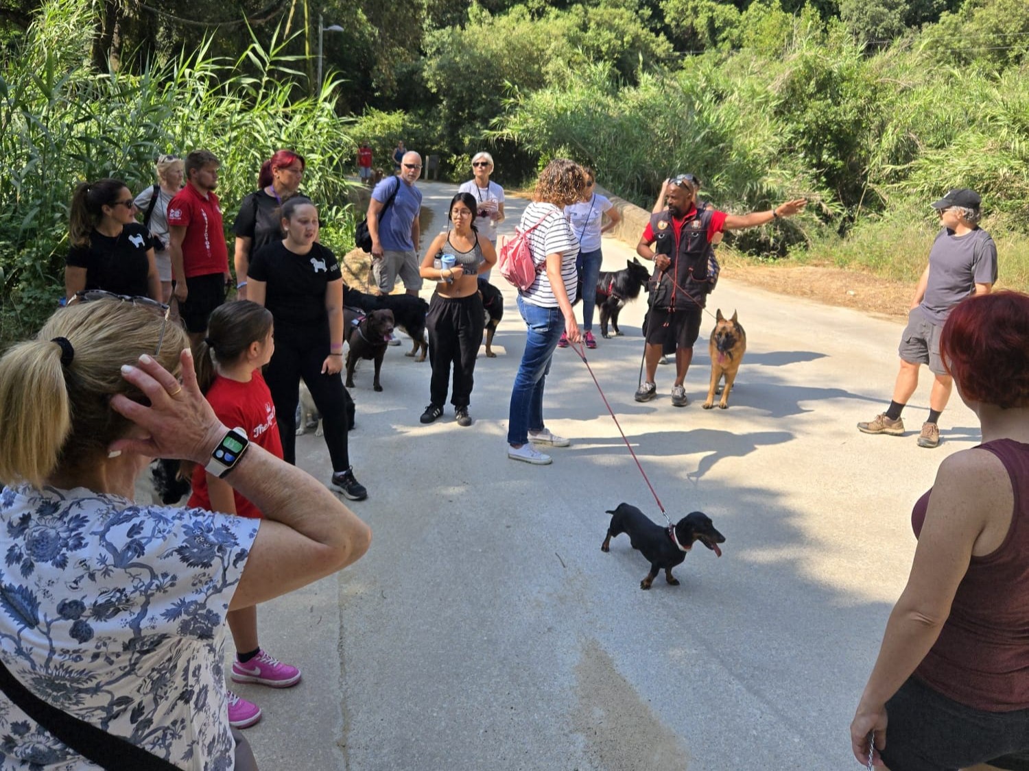 2a passejada canina