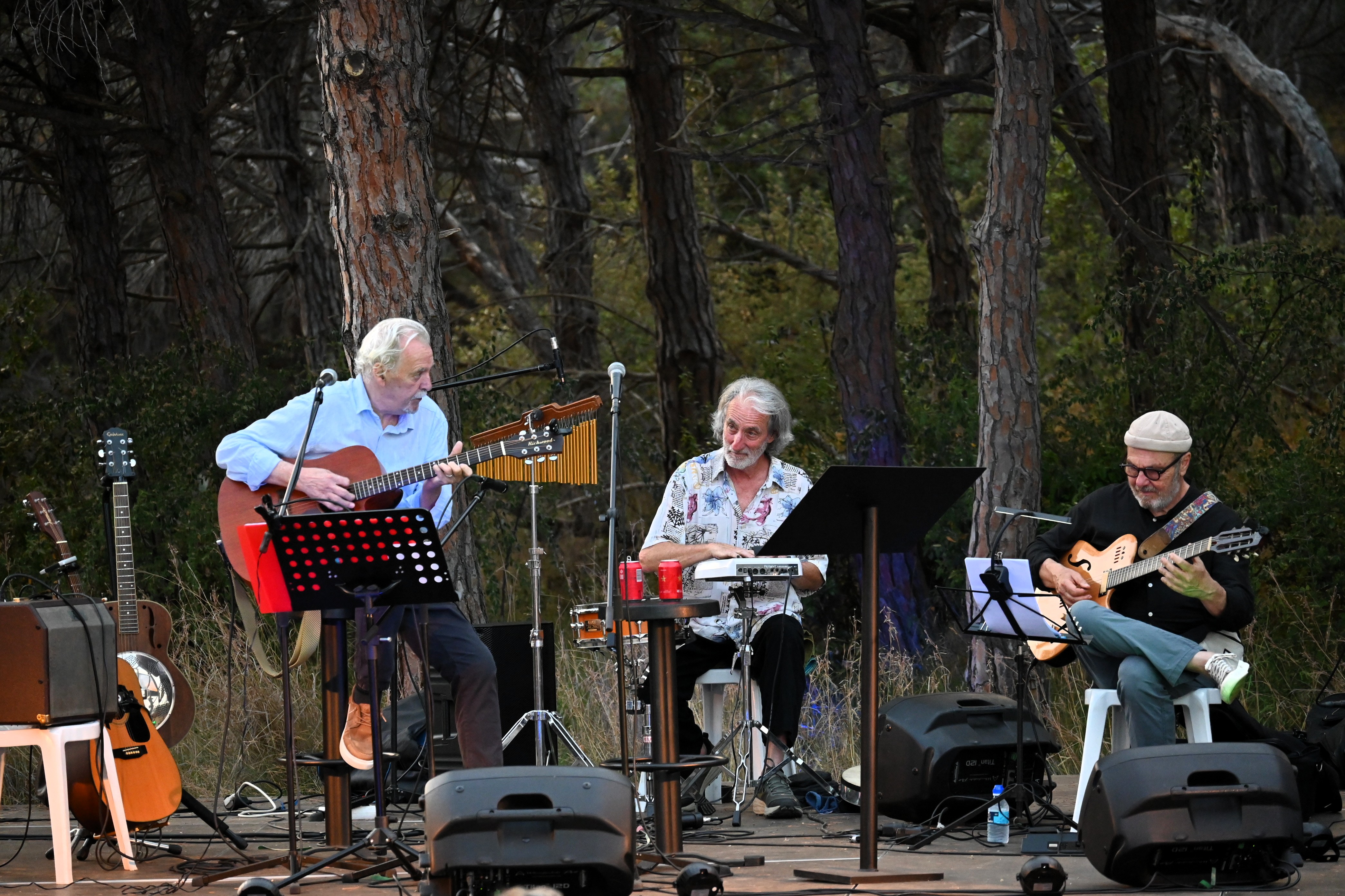 Concert del Solstici