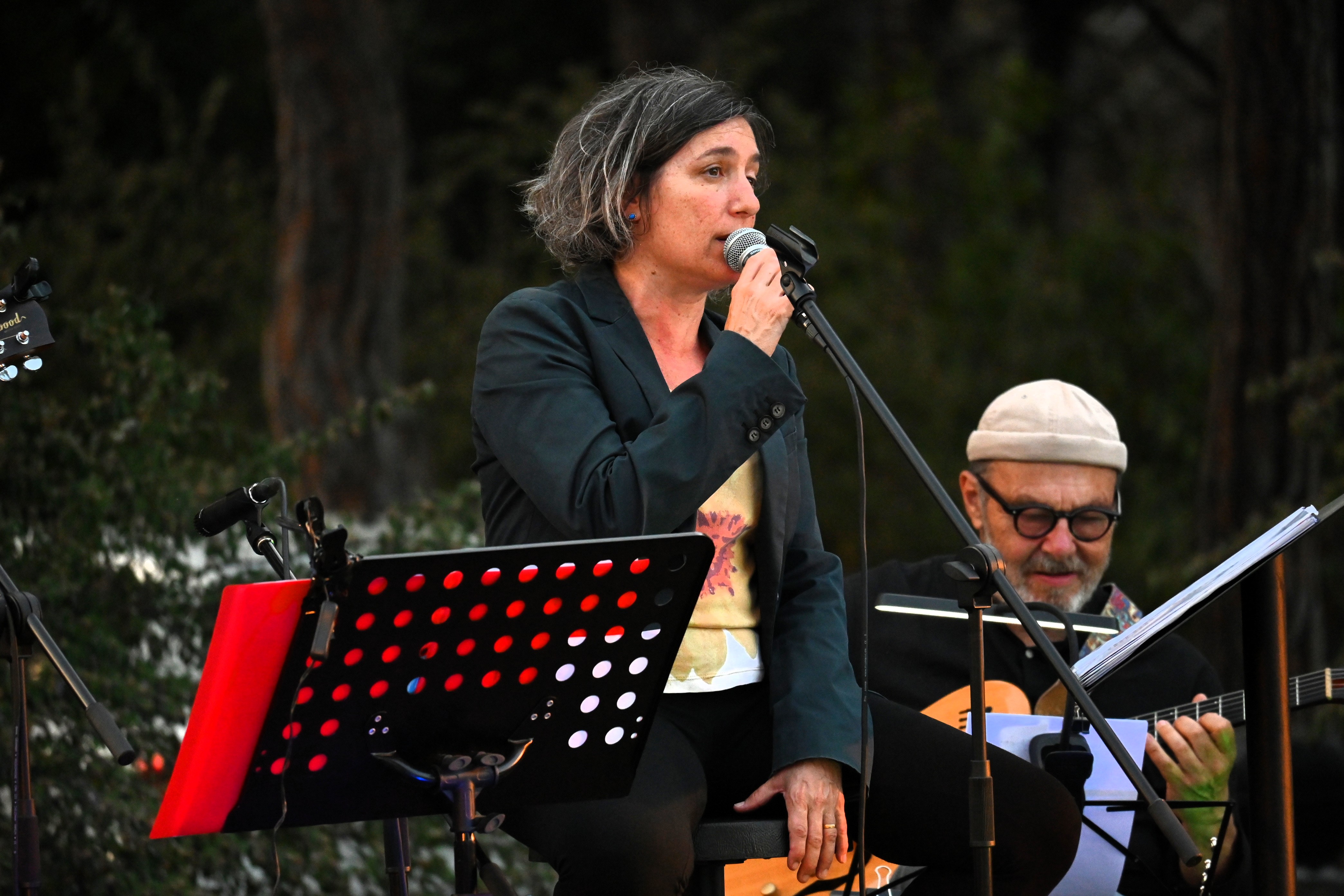 Concert del Solstici