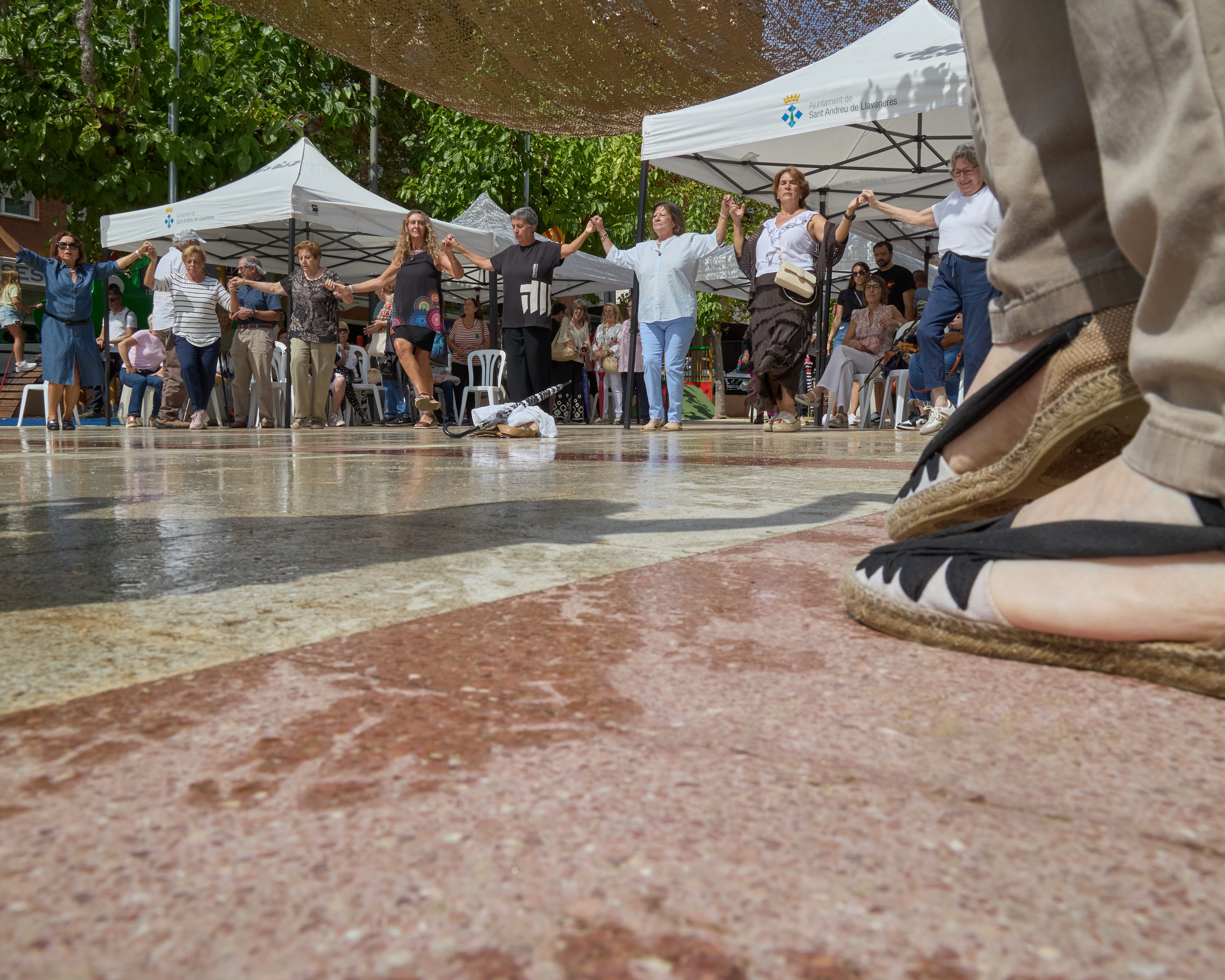 Diada Nacional de Catalunya 2025: les fotos! - Foto 28755146