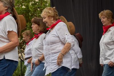 Fira de la Coca de Llavaneres: 'market' de tardor i espai gastronmic