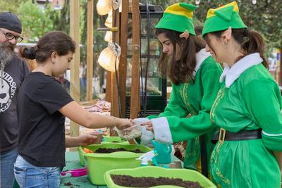 Fira de la Coca de Llavaneres: 'market' de tardor i espai gastronmic