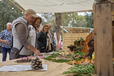 Fira de la Coca de Llavaneres: 'market' de tardor i espai gastronmic