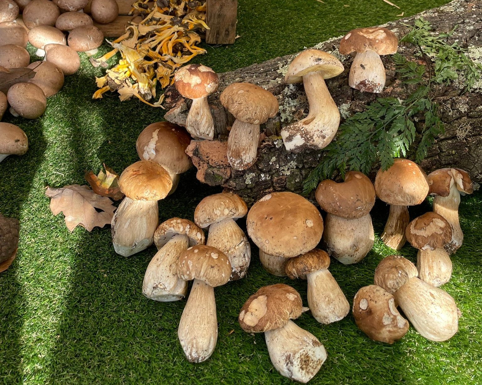 Fira de la Coca de Llavaneres: 'market' de tardor i espai gastronmic