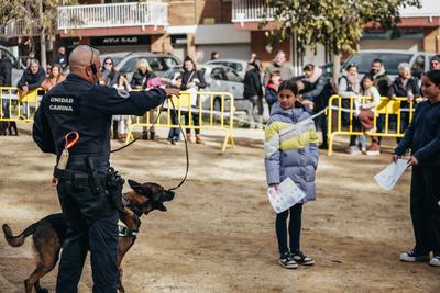 Foto 85244485 - Clica per mida completa