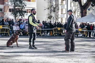 Foto 12834973 - Clica per mida completa