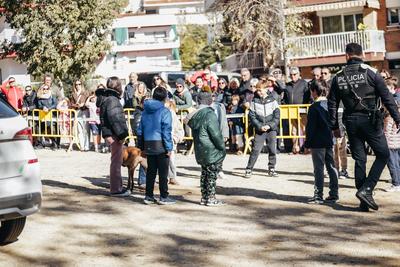 Foto 99880555 - Clica per mida completa