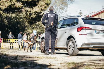 Foto 18022904 - Clica per mida completa