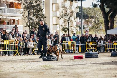 Foto 66079726 - Clica per mida completa