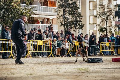 Foto 30255139 - Clica per mida completa