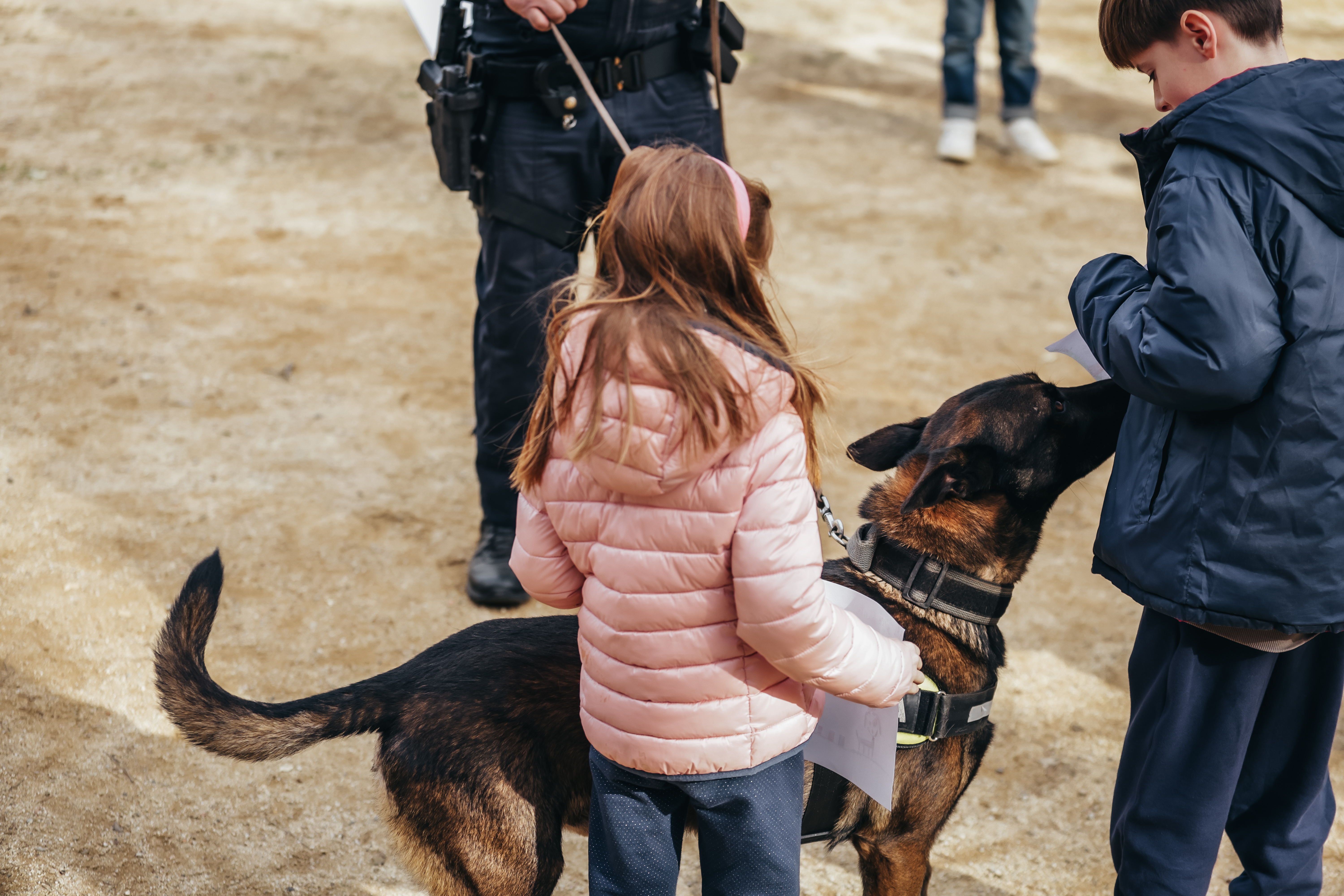Exhibici canina: les fotos! - Foto 85808619