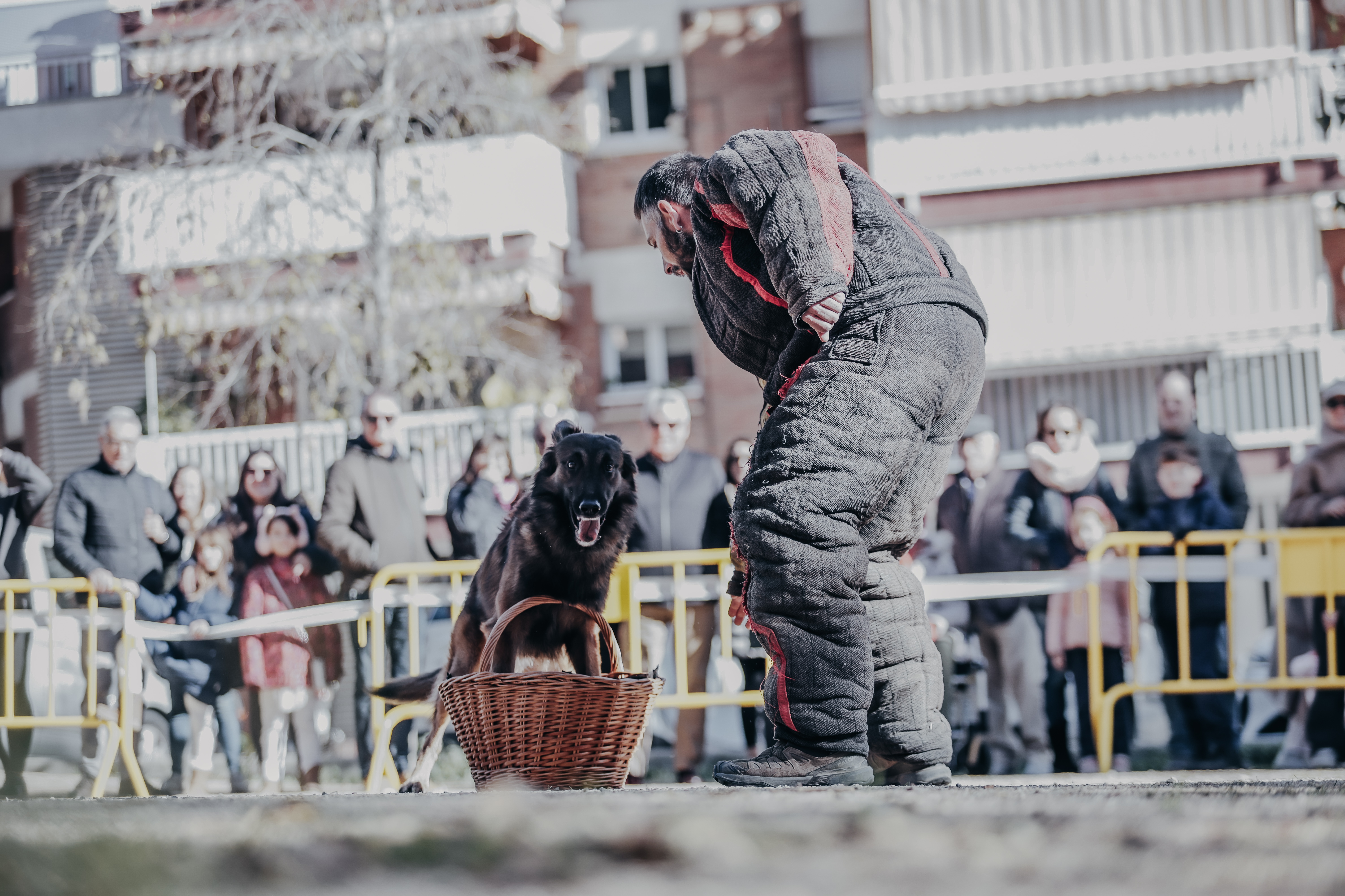 Exhibici canina: les fotos! - Foto 37723526
