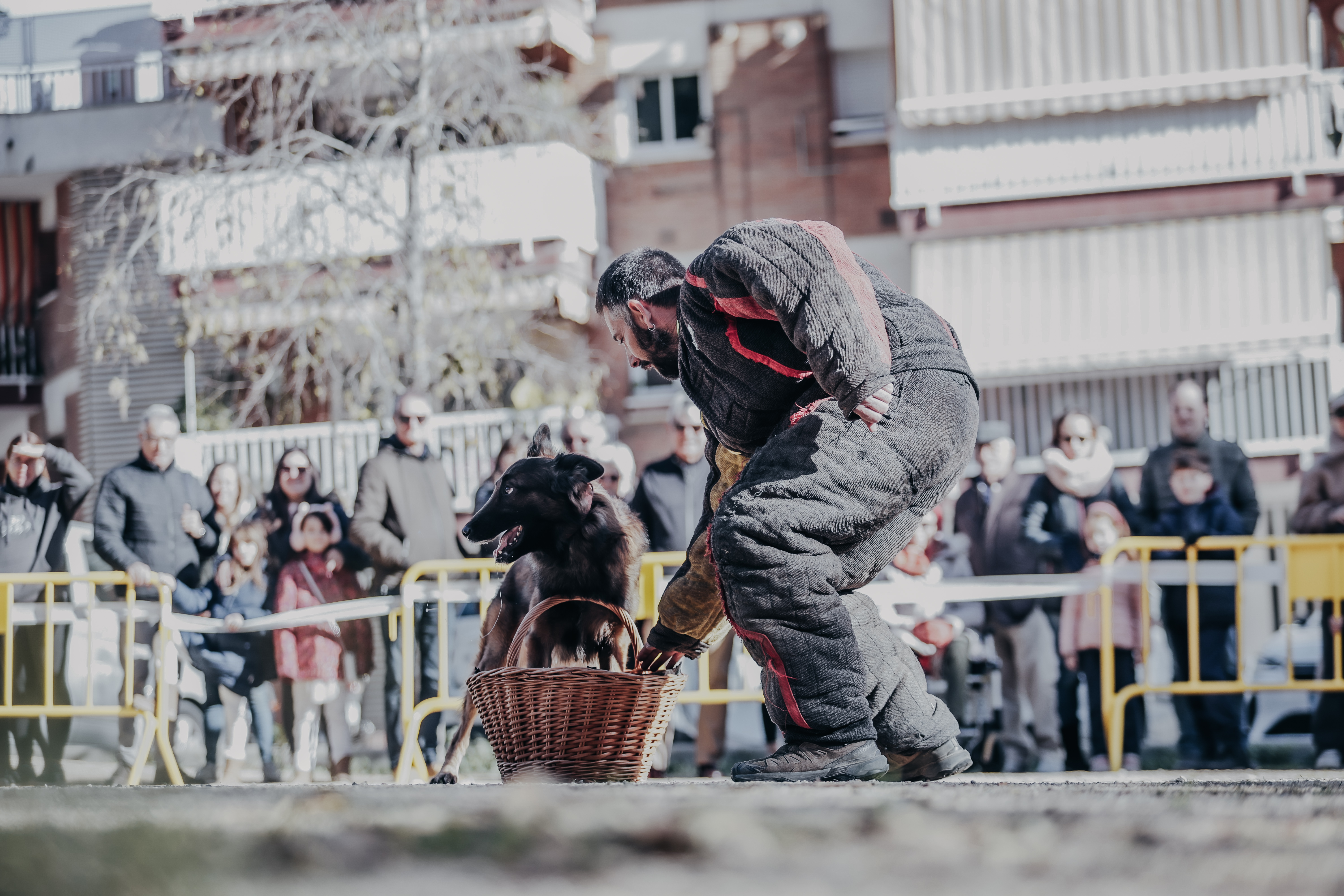 Exhibici canina: les fotos! - Foto 58590226