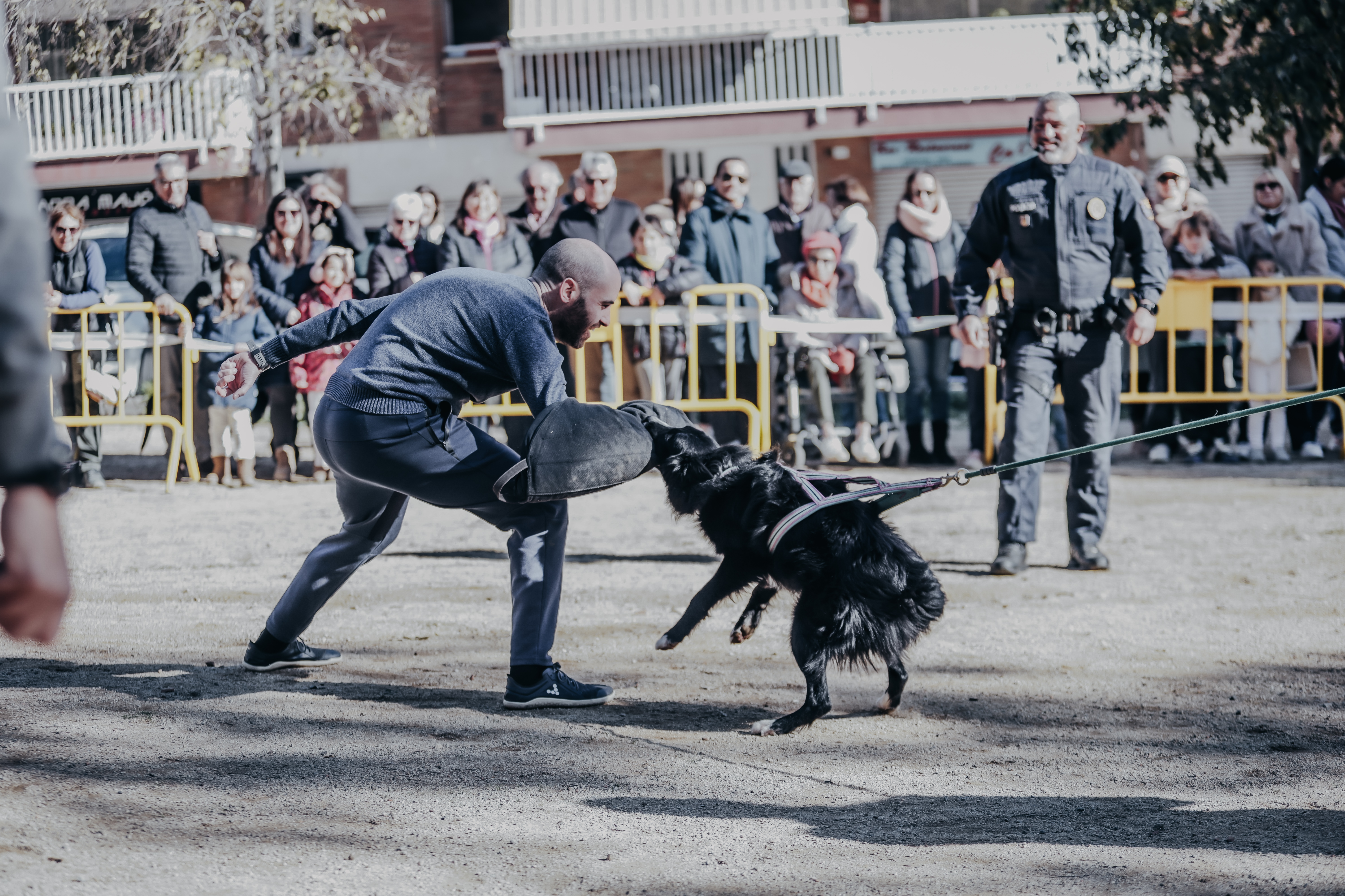 Exhibici canina: les fotos! - Foto 14999425
