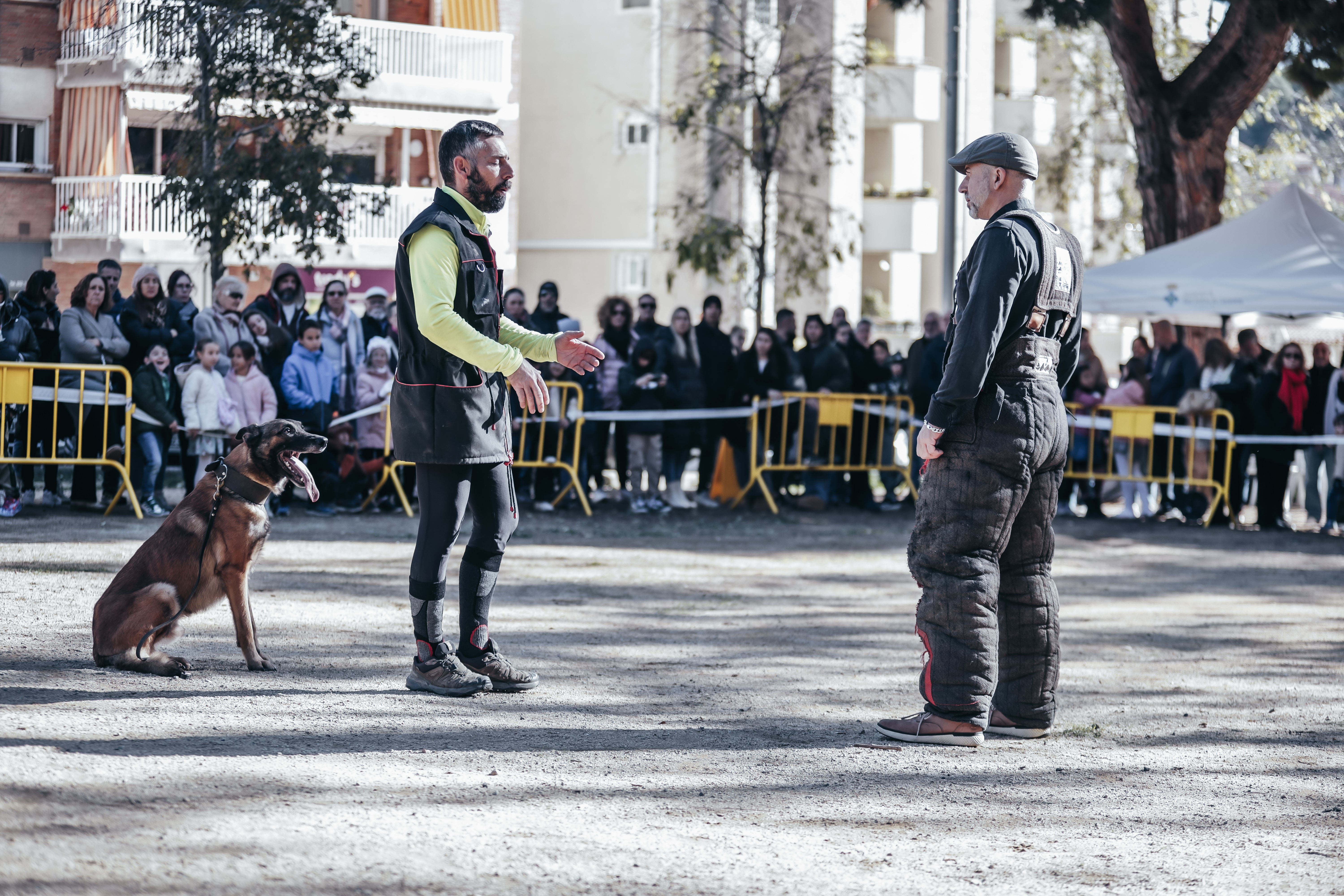 Exhibici canina: les fotos! - Foto 12834973