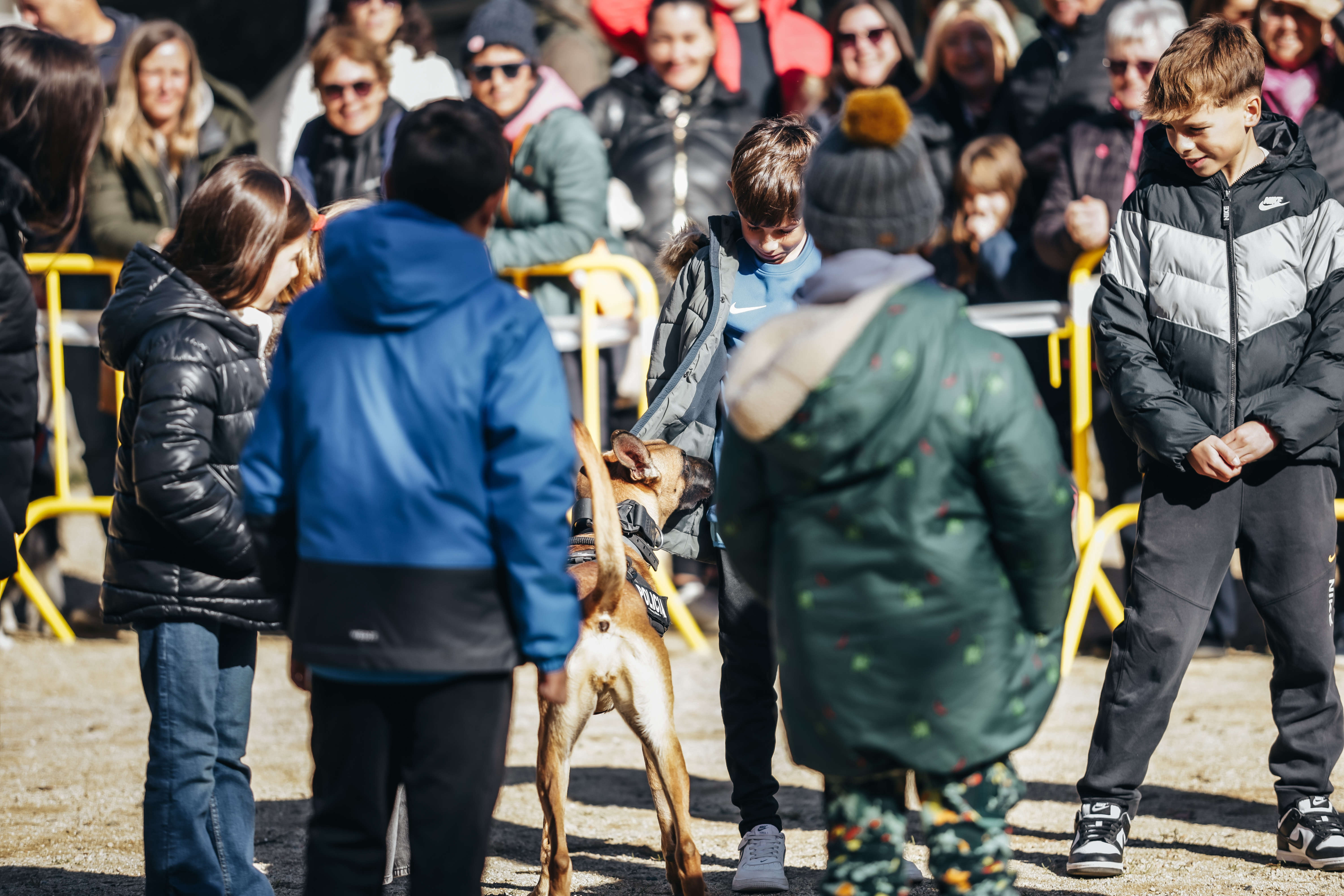 Exhibici canina: les fotos! - Foto 27959703