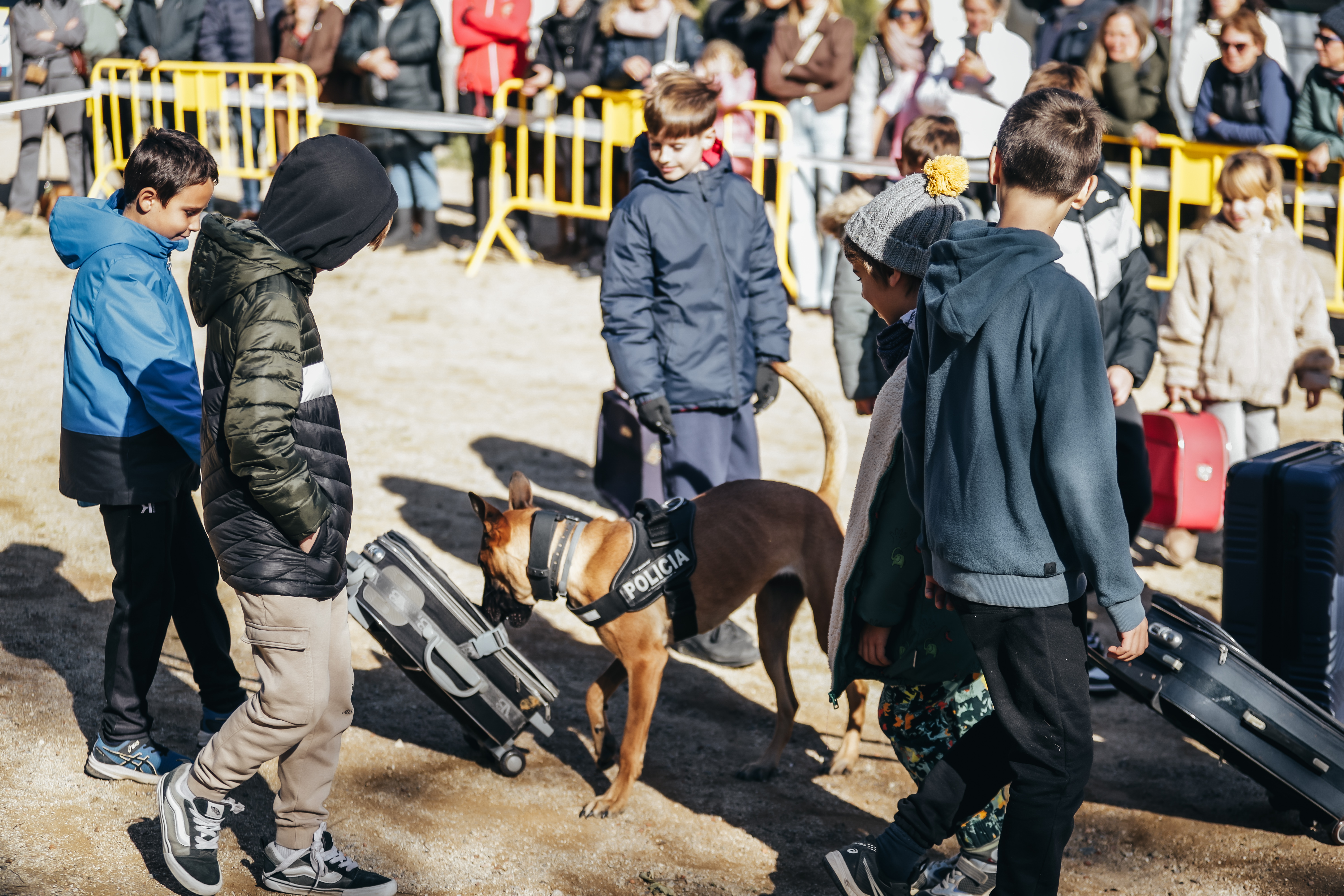 Exhibici canina: les fotos! - Foto 15373561
