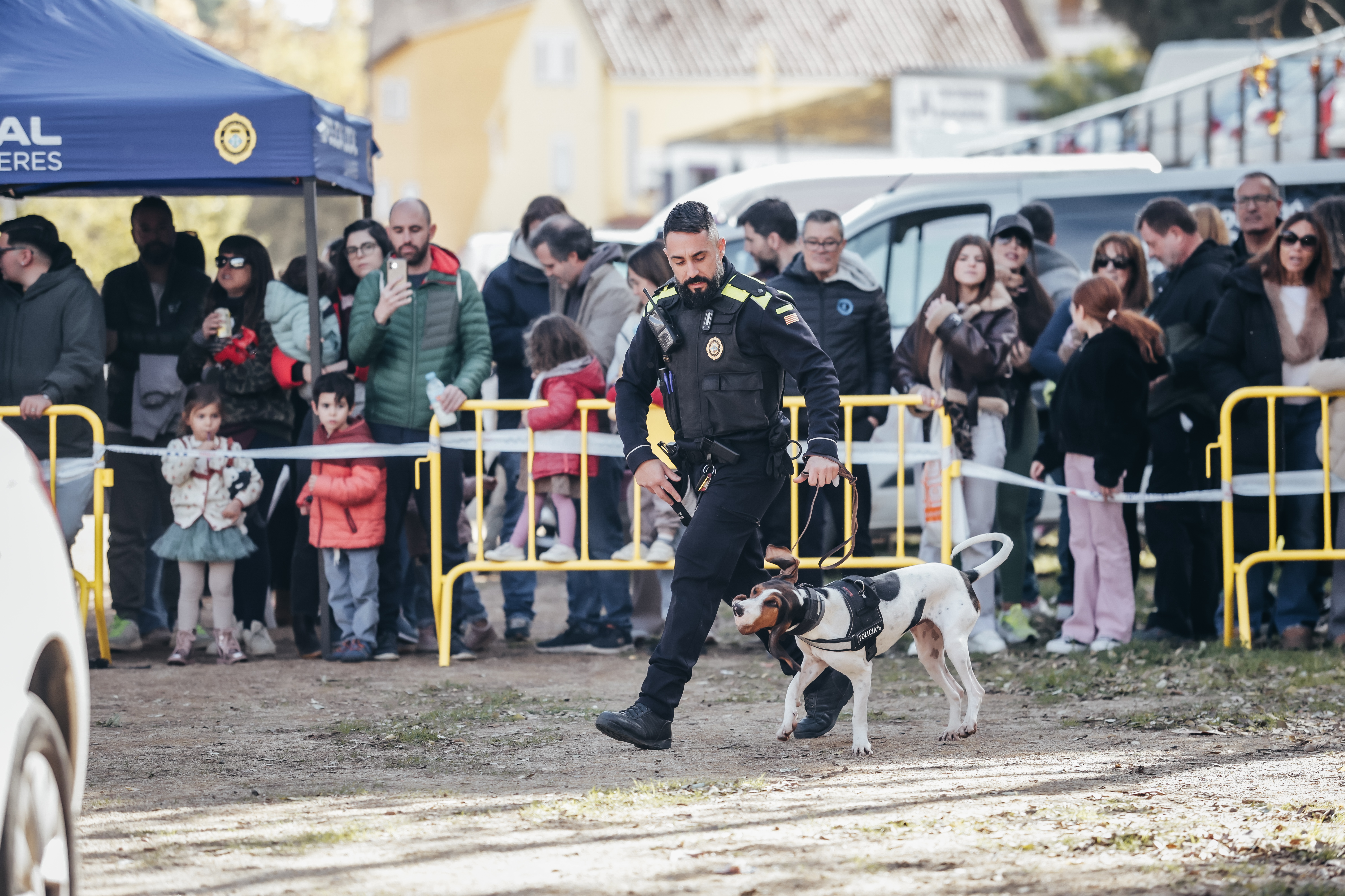Exhibici canina: les fotos! - Foto 87736419