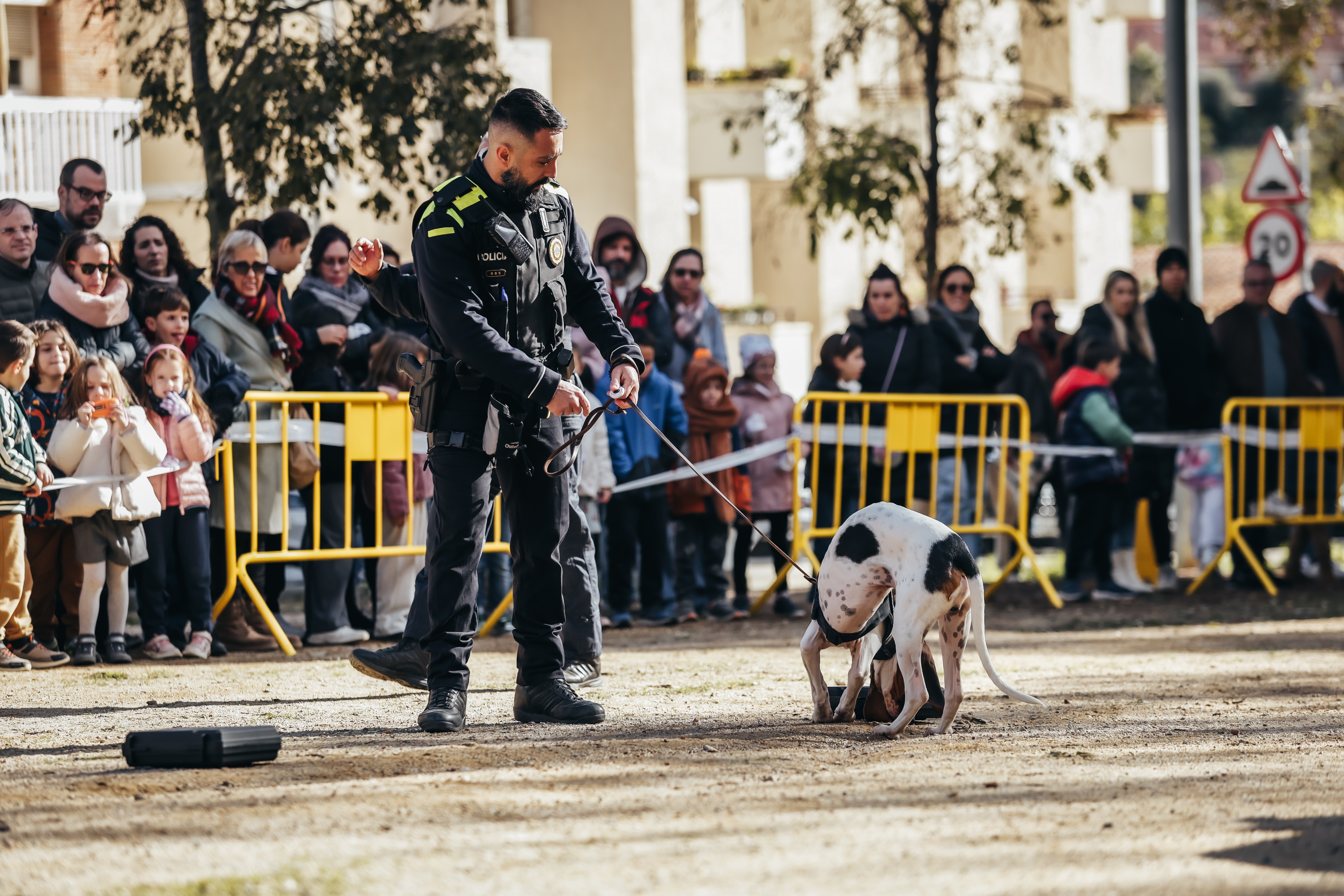 Exhibici canina: les fotos! - Foto 29413663