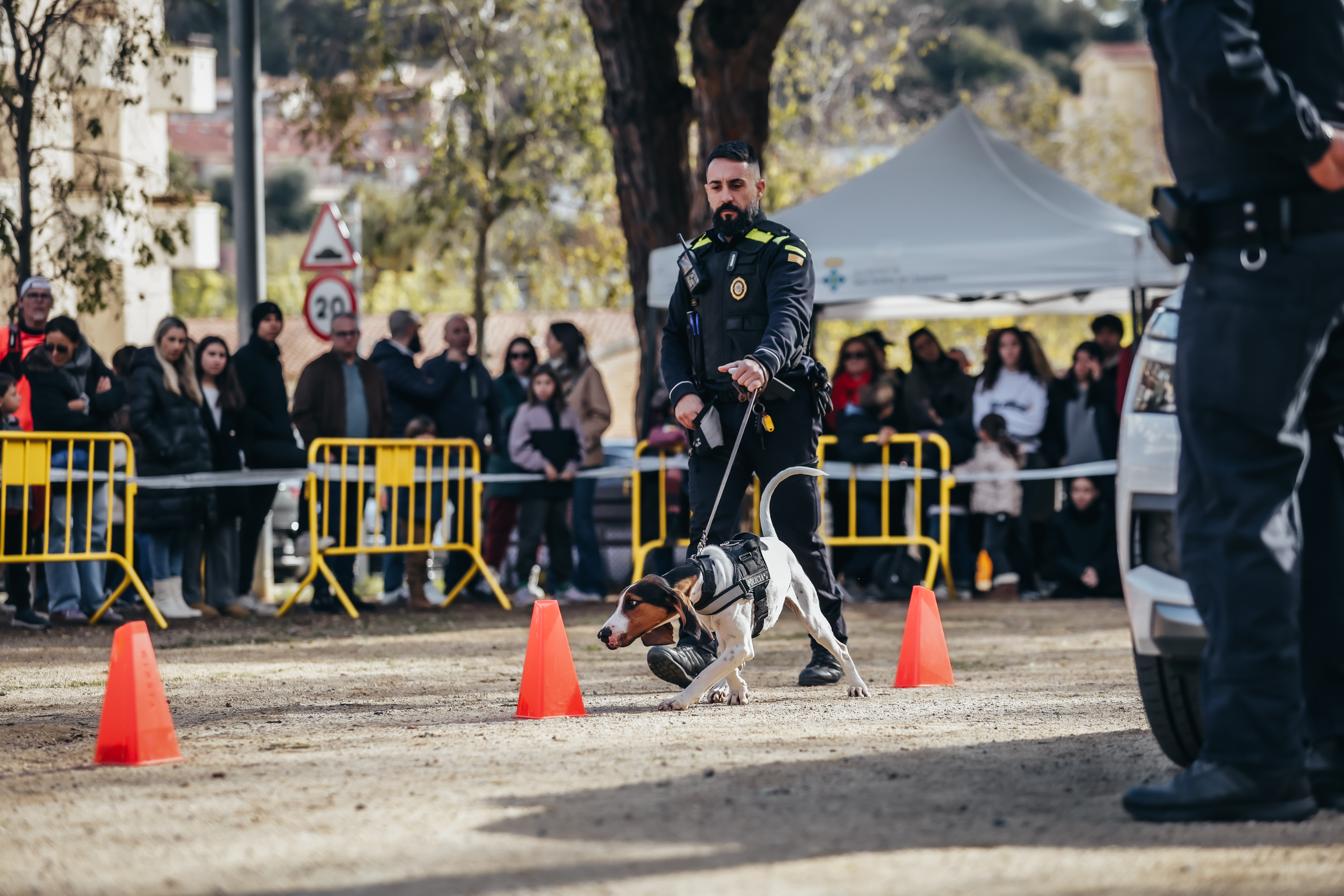 Exhibici canina: les fotos! - Foto 84239661