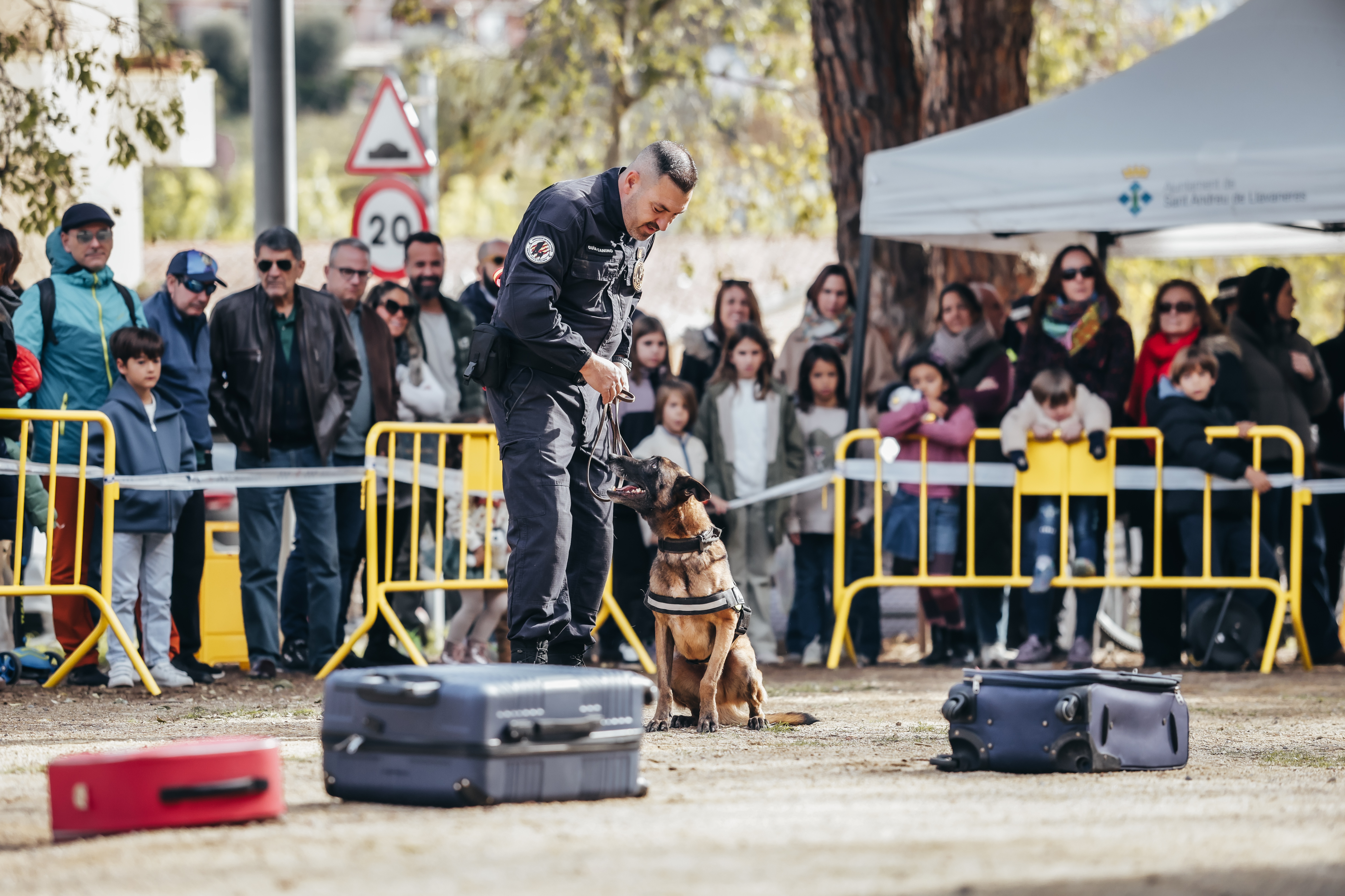 Exhibici canina: les fotos! - Foto 14103349