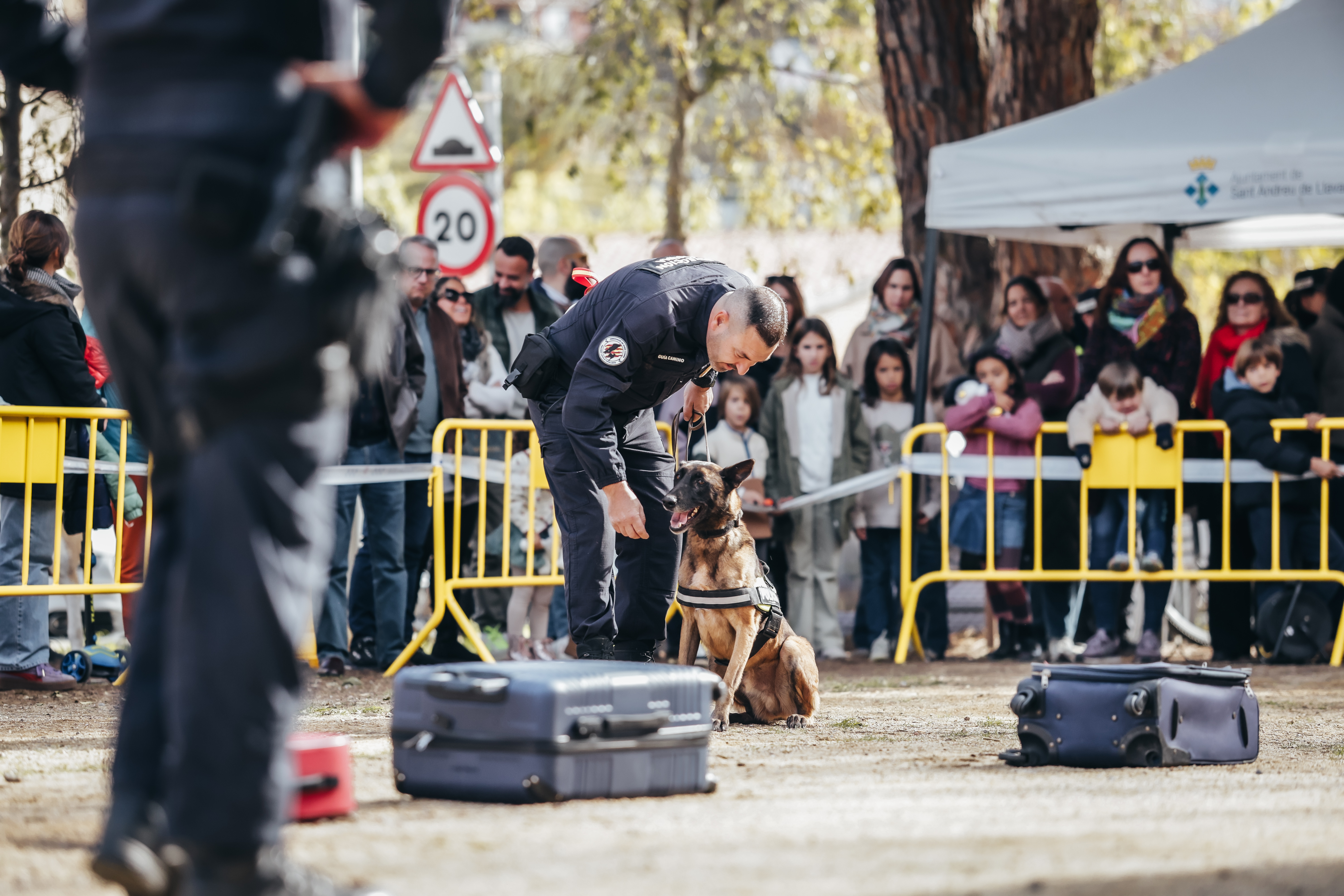 Exhibici canina: les fotos! - Foto 75454586