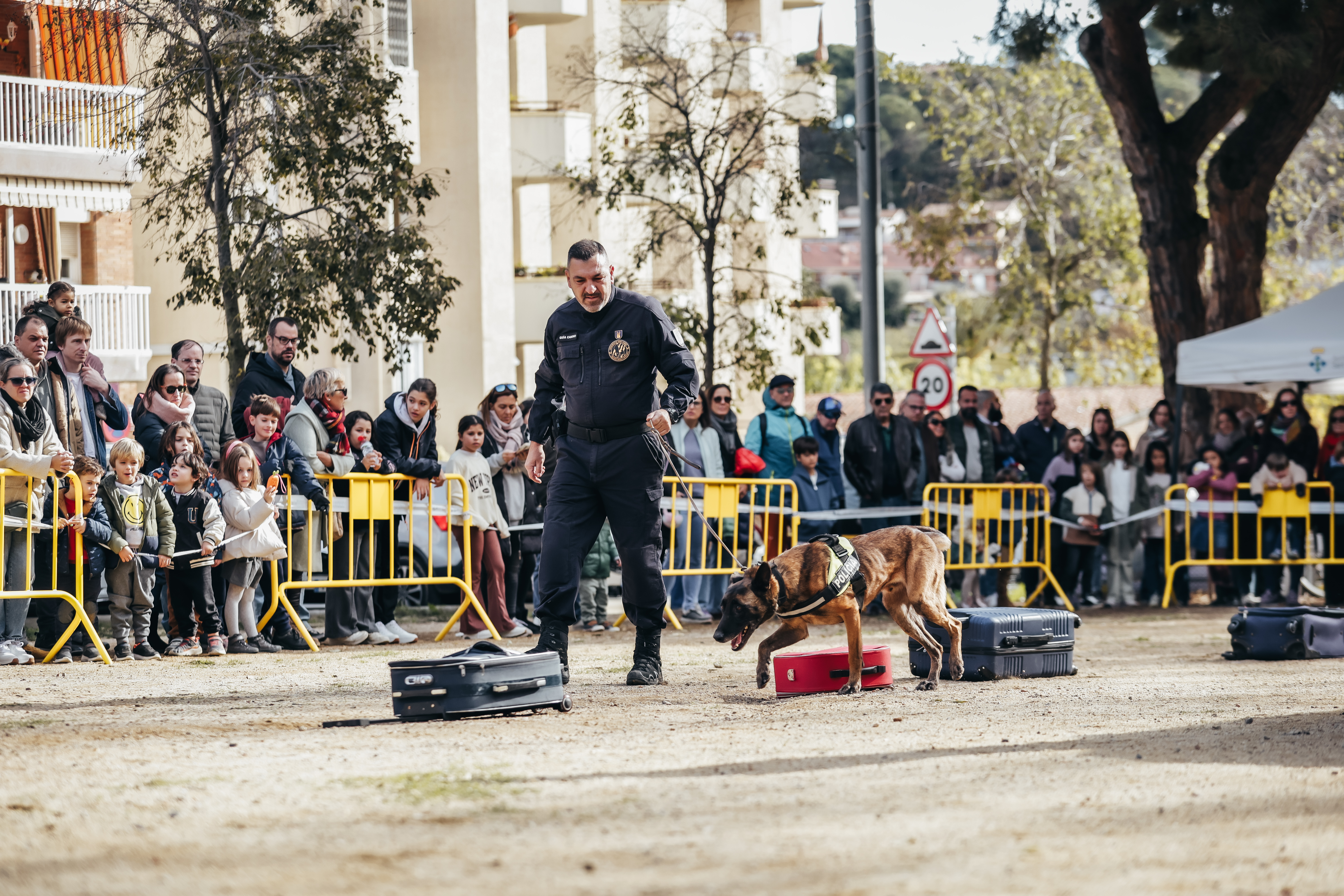 Exhibici canina: les fotos! - Foto 70182893