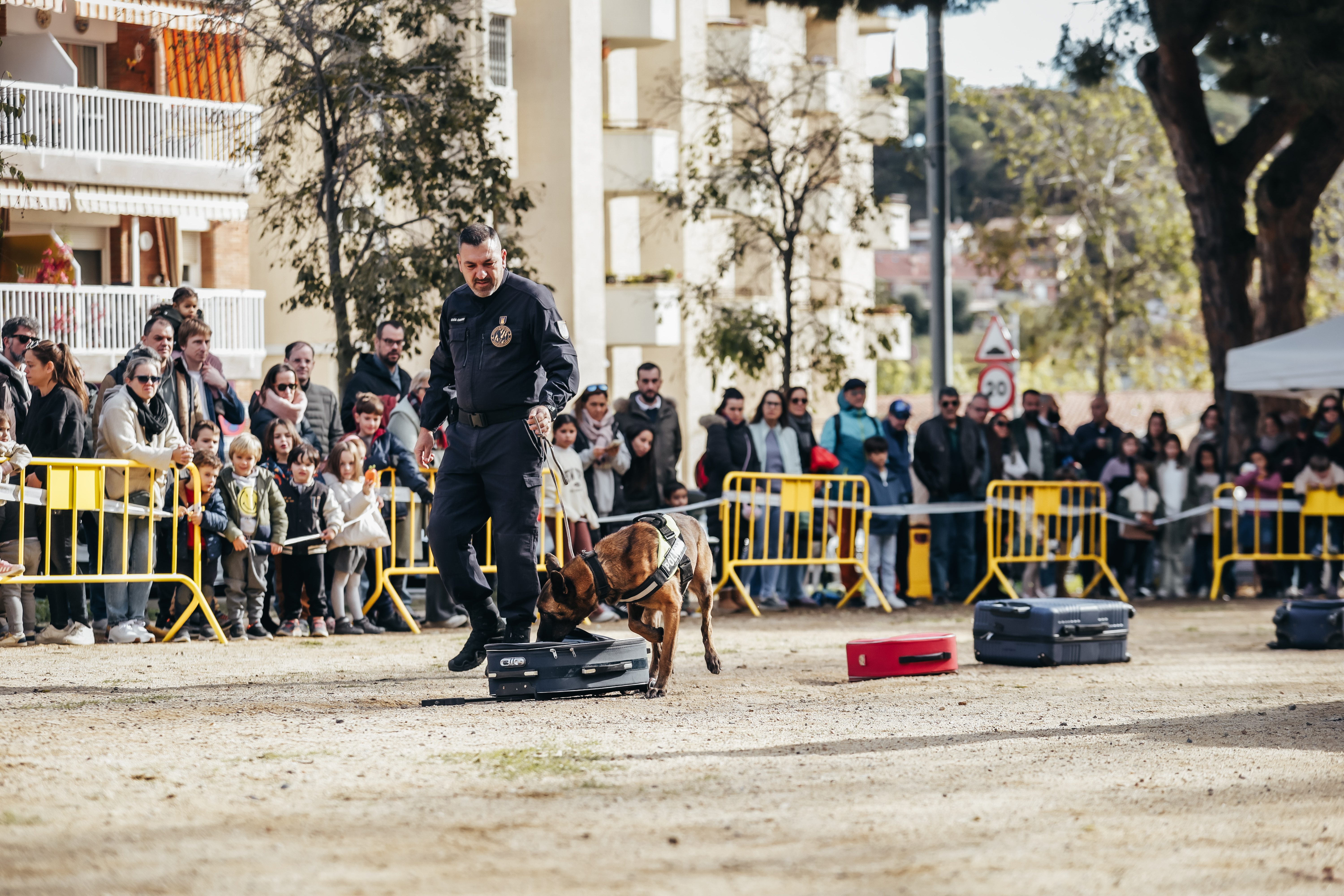 Exhibici canina: les fotos! - Foto 66079726