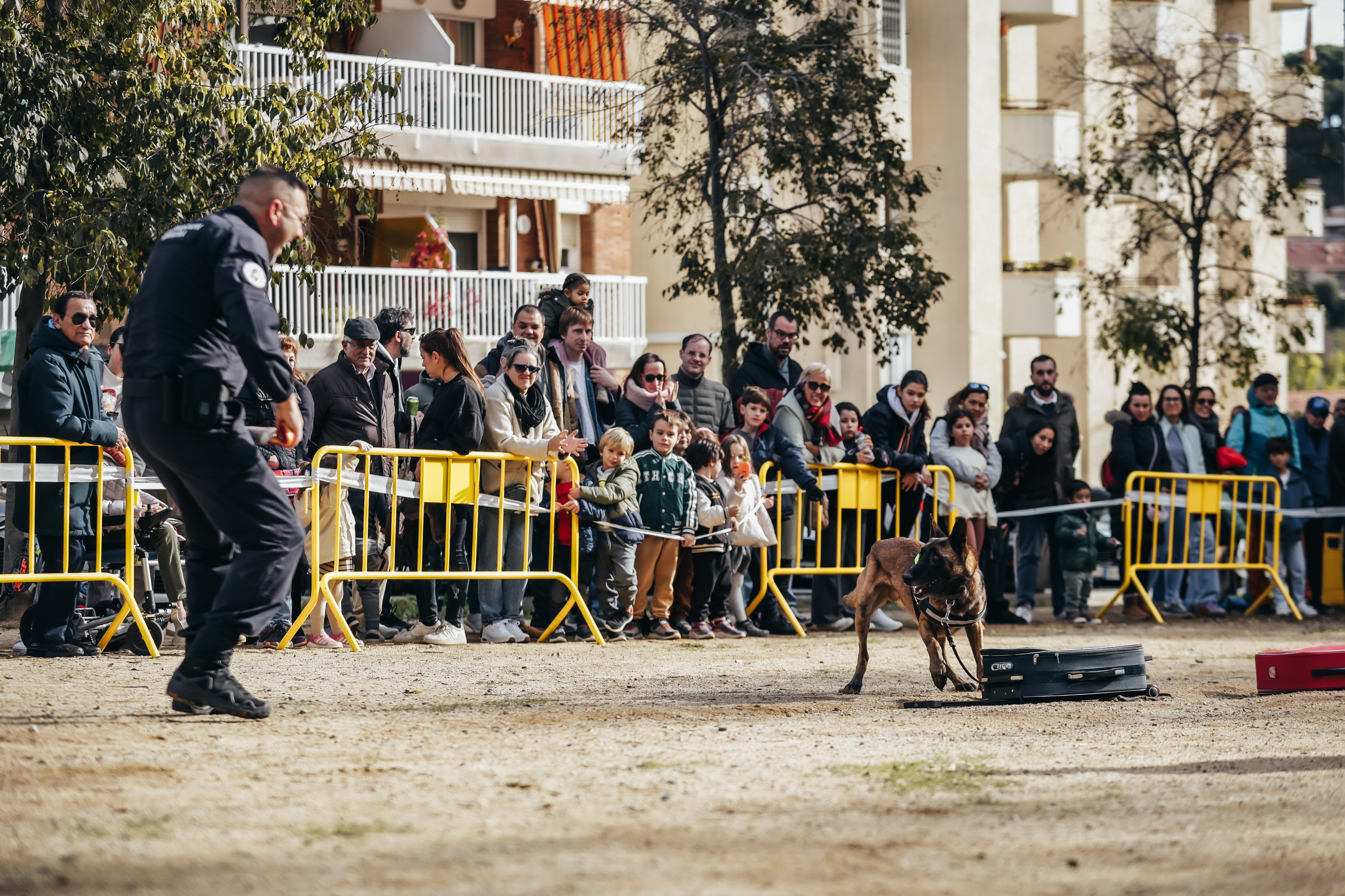 Exhibici canina: les fotos! - Foto 30255139