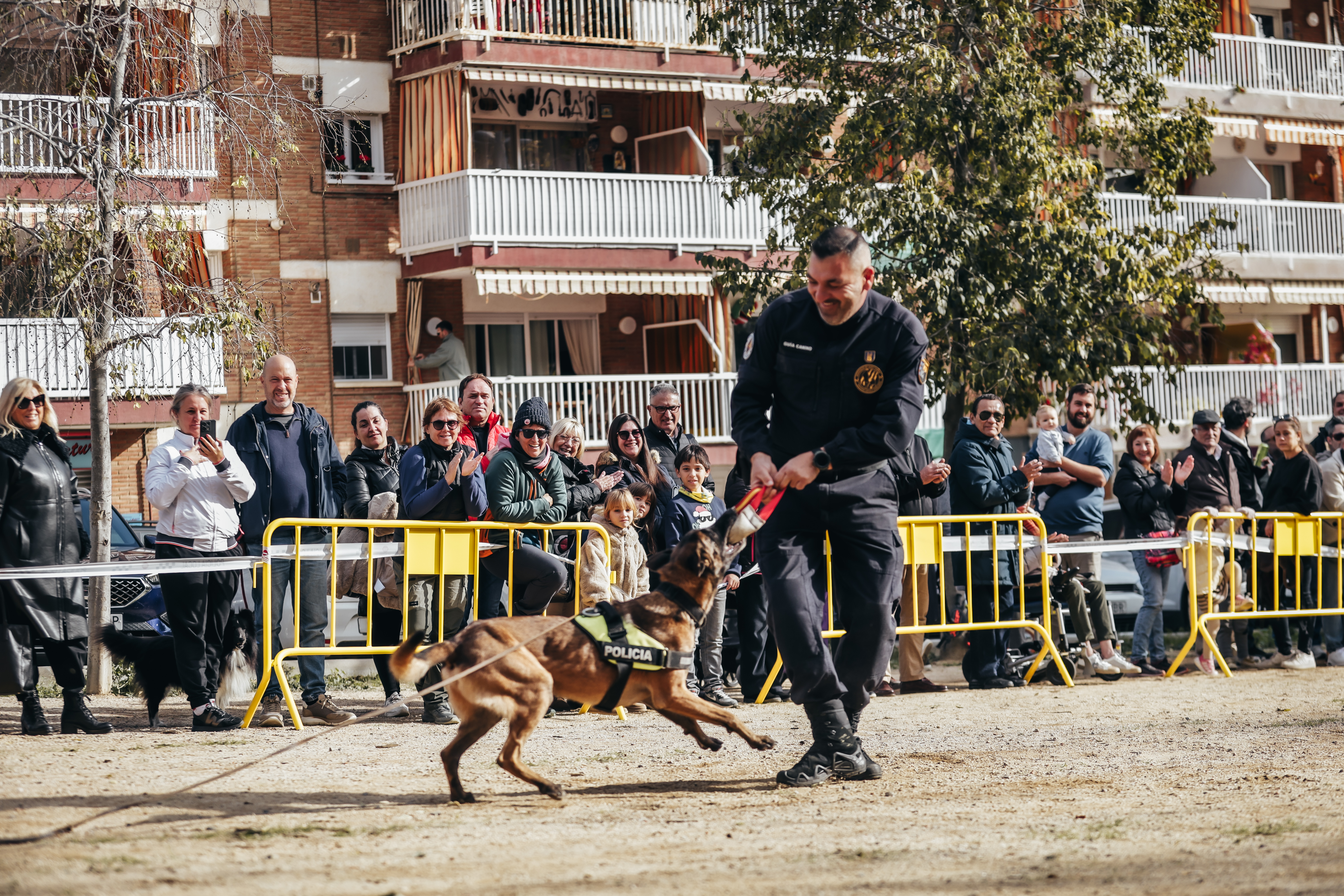 Exhibici canina: les fotos! - Foto 20474882