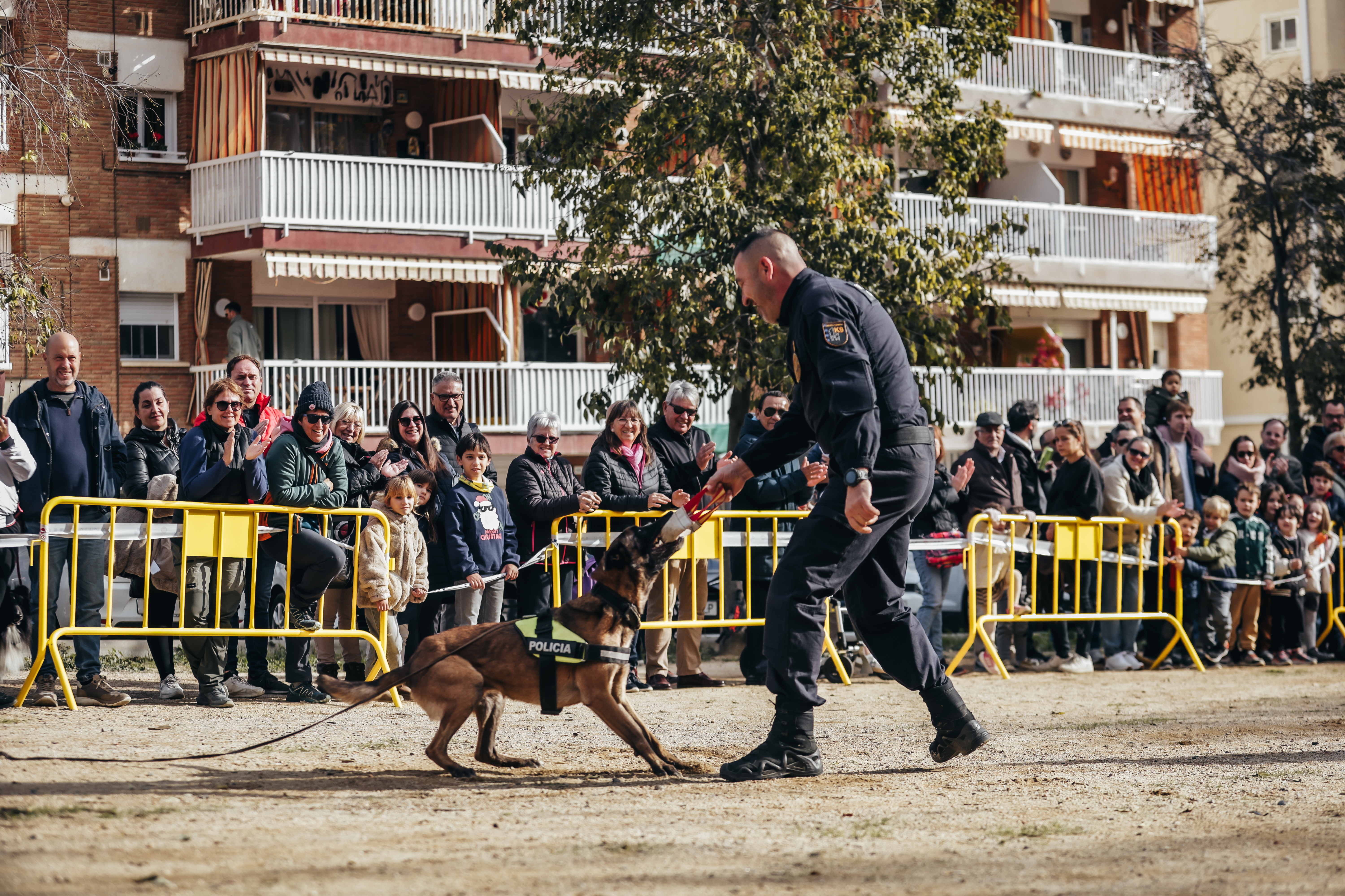 Exhibici canina: les fotos! - Foto 79052096