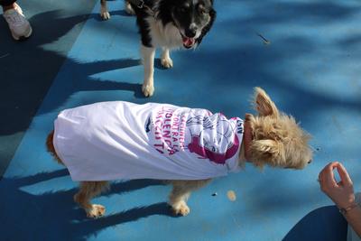 Marxa III Popular Contra la Violncia Masclista de les 3 Viles, 23 de novembre.