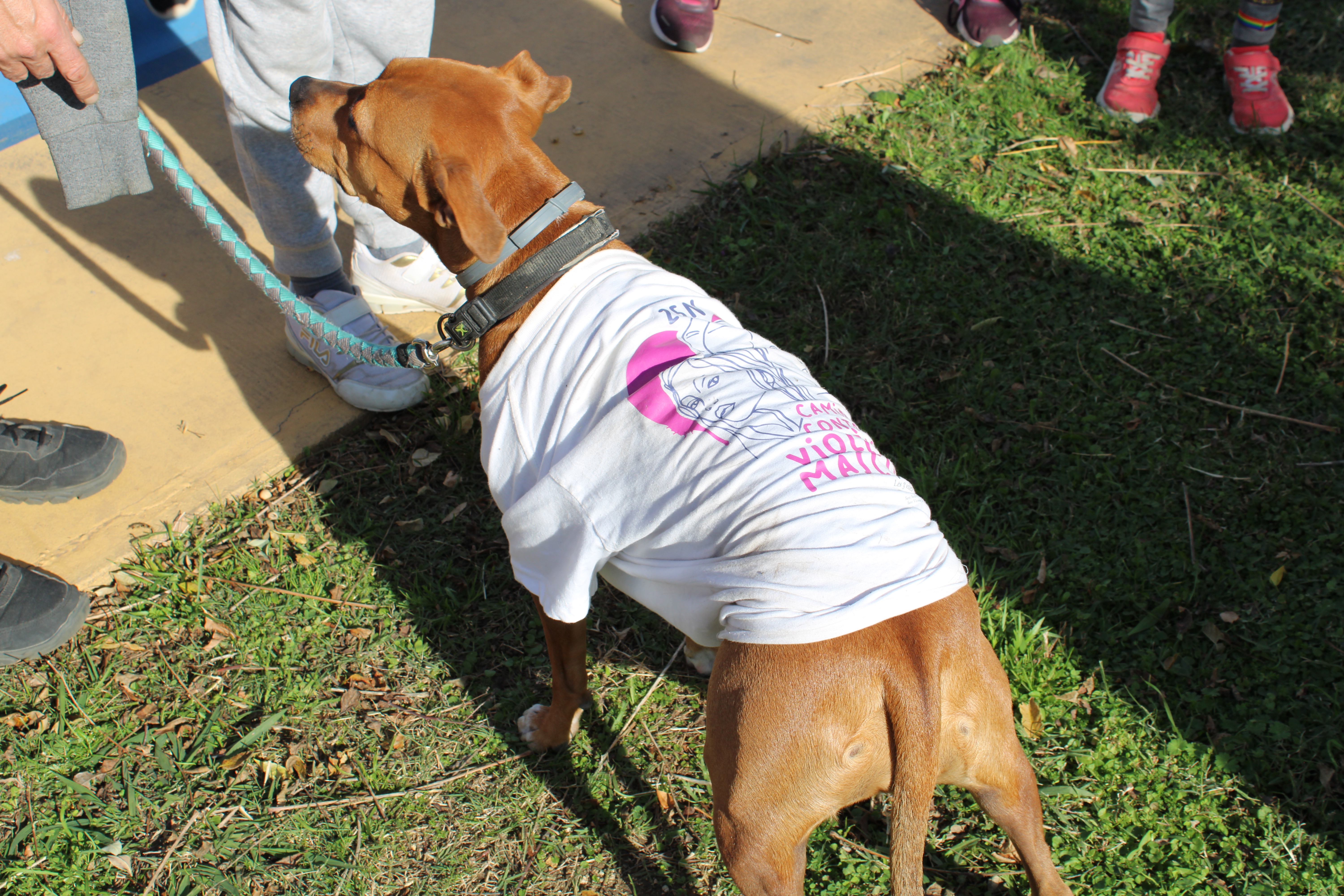 Marxa III Popular Contra la Violncia Masclista de les 3 Viles, 23 de novembre.